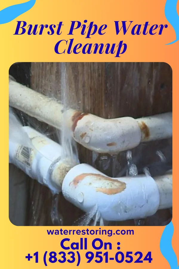 Burst Pipe Water Cleanup in Miami Shores, FL
